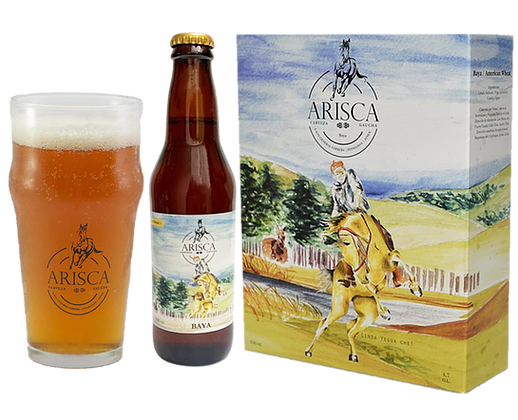 CERVEZA ARISCA BAYA 12x330 ml