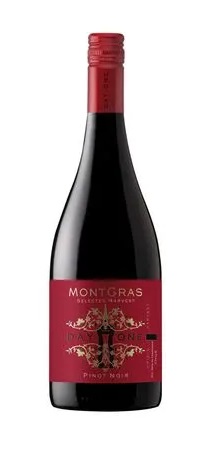 [VIMG0037] VINO DAY ONE Pinot Noir 1x750 ml (Cj 6 un)